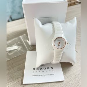 Skagen Watch